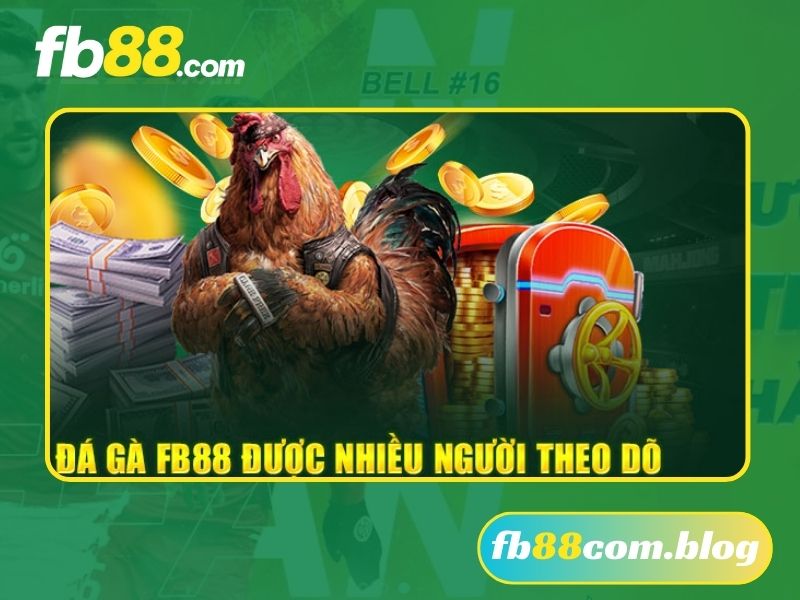 Trải Nghiệm Đá gà FB88 Siêu Mượt Mà